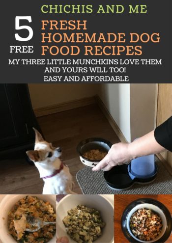 ChiChis And Me Pinterest Fresh Homemade Dog Food Recipes