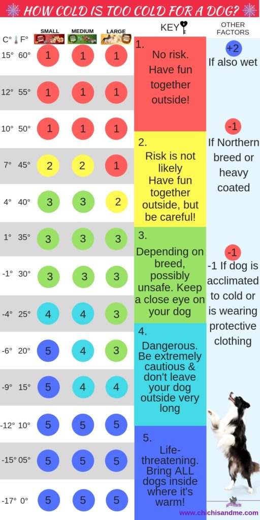 what to do if you see a dog left out in the cold