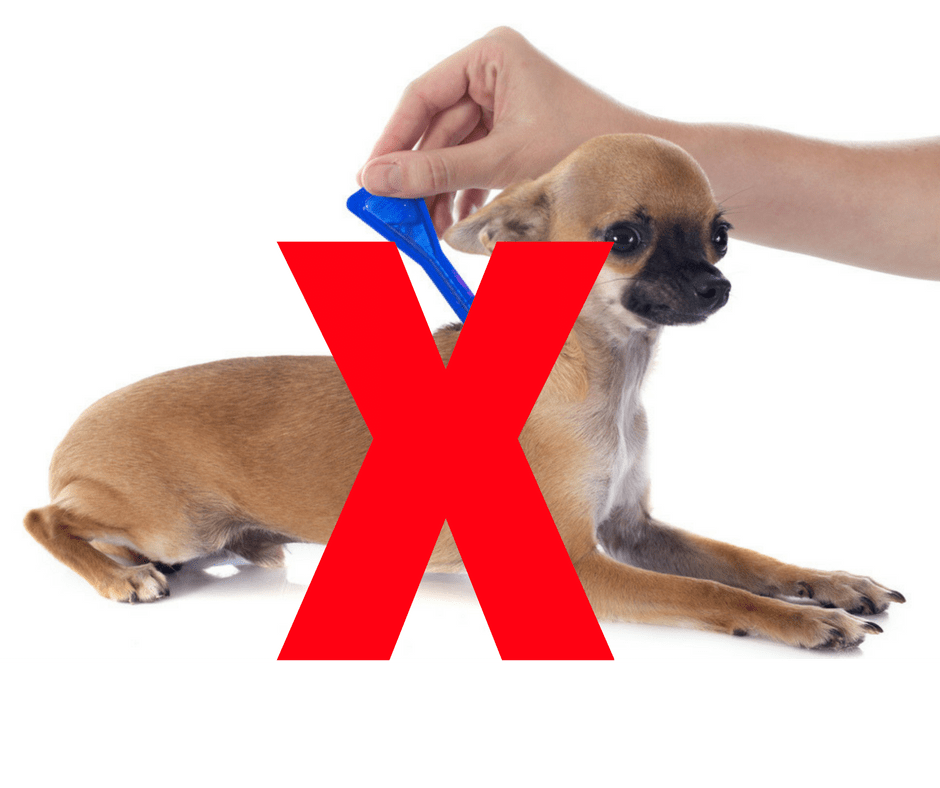 safe flea and tick repellants