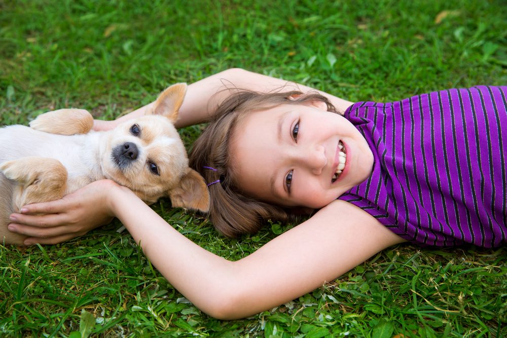 children and chihuahuas, never let an older child tease a chihuahua