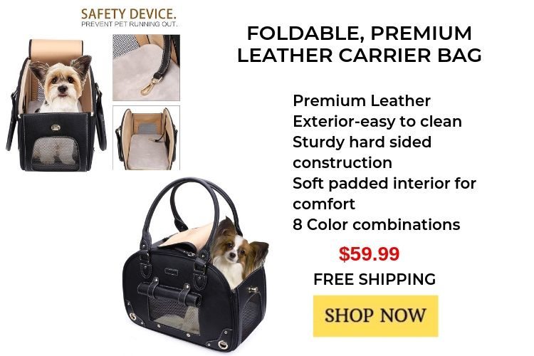 best pet carriers, pet carrying purse