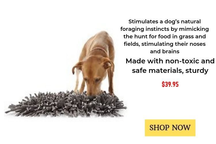 snuffle mat, dog puzzles