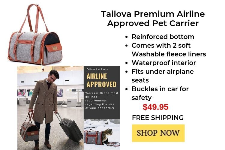 best pet carriers, air travel with a chihuahua