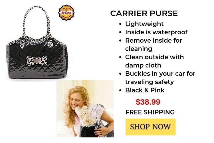 best pet carriers, dog carrier bag