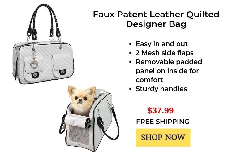 best pet carriers, dog carrying bag