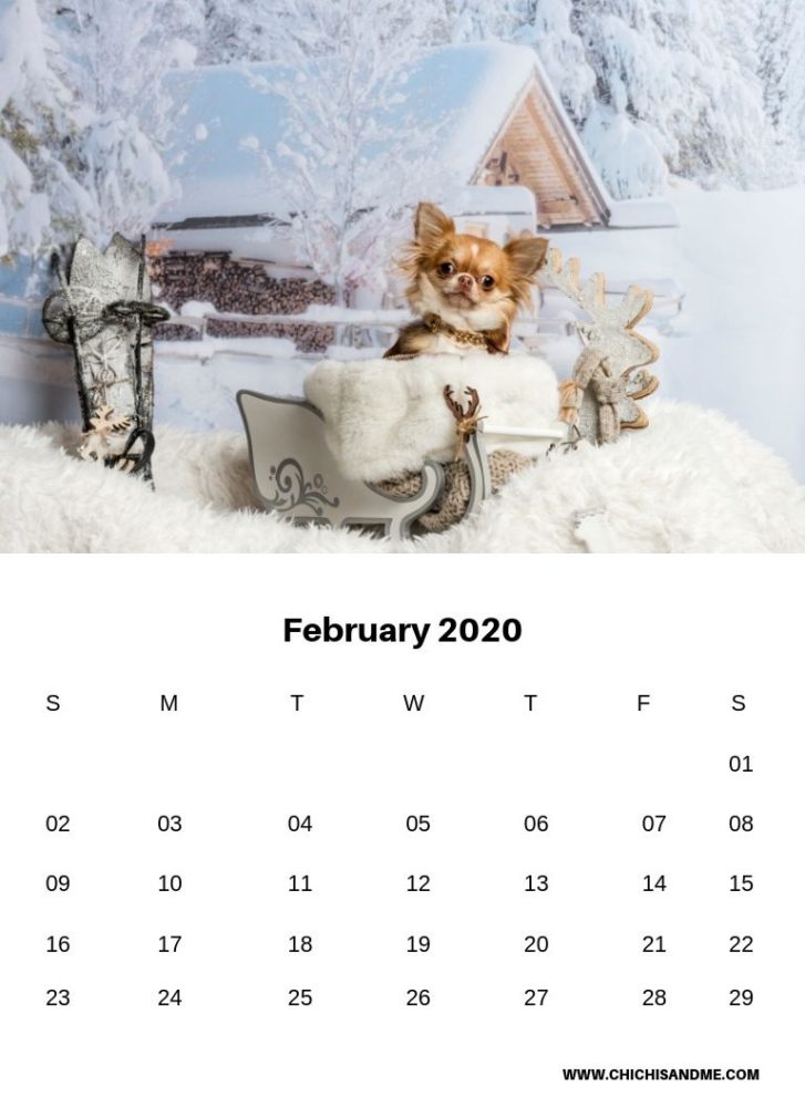 2020 Printable Chihuahua Wall Calendar ChiChis And Me