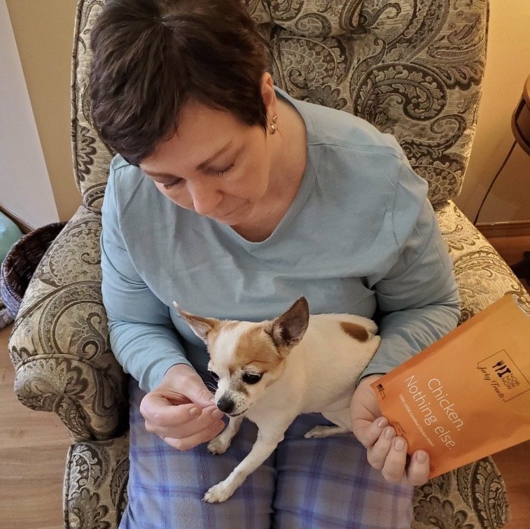 nomnomnow review, woman holding a bag of nomnomnow chicken jerky treats and feedin one to a fawn and white chihuahua on her lap