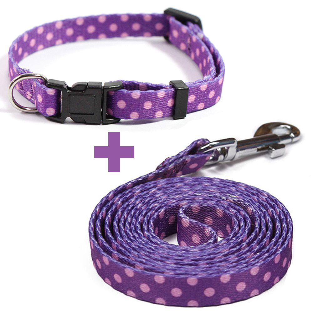 matching collar and leash