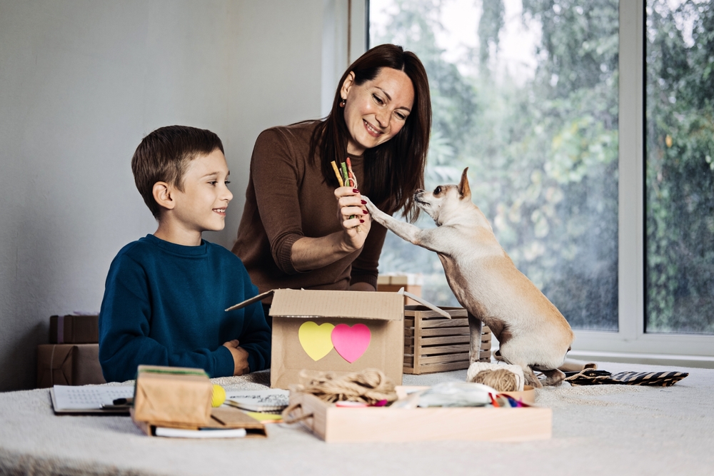 mom and boy with open box - scattered toys-bully sticks-chihuahua reaching for them