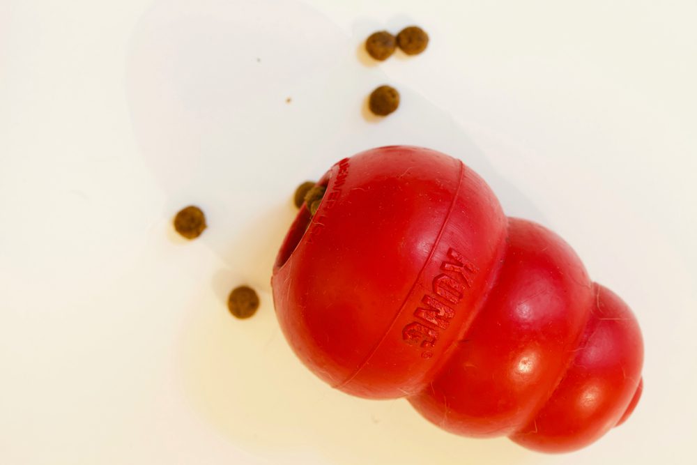 6 Stuffed KONG Recipes: What to Stuff in a KONG Dog Toy