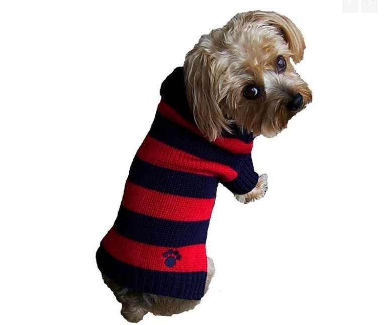 Rugby Paw Sweater