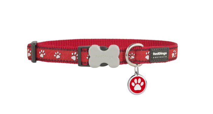 Fancy Personalized Collars