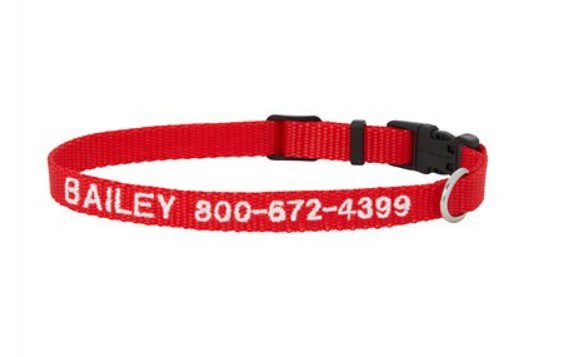 Budget Friendly Personalized Collars