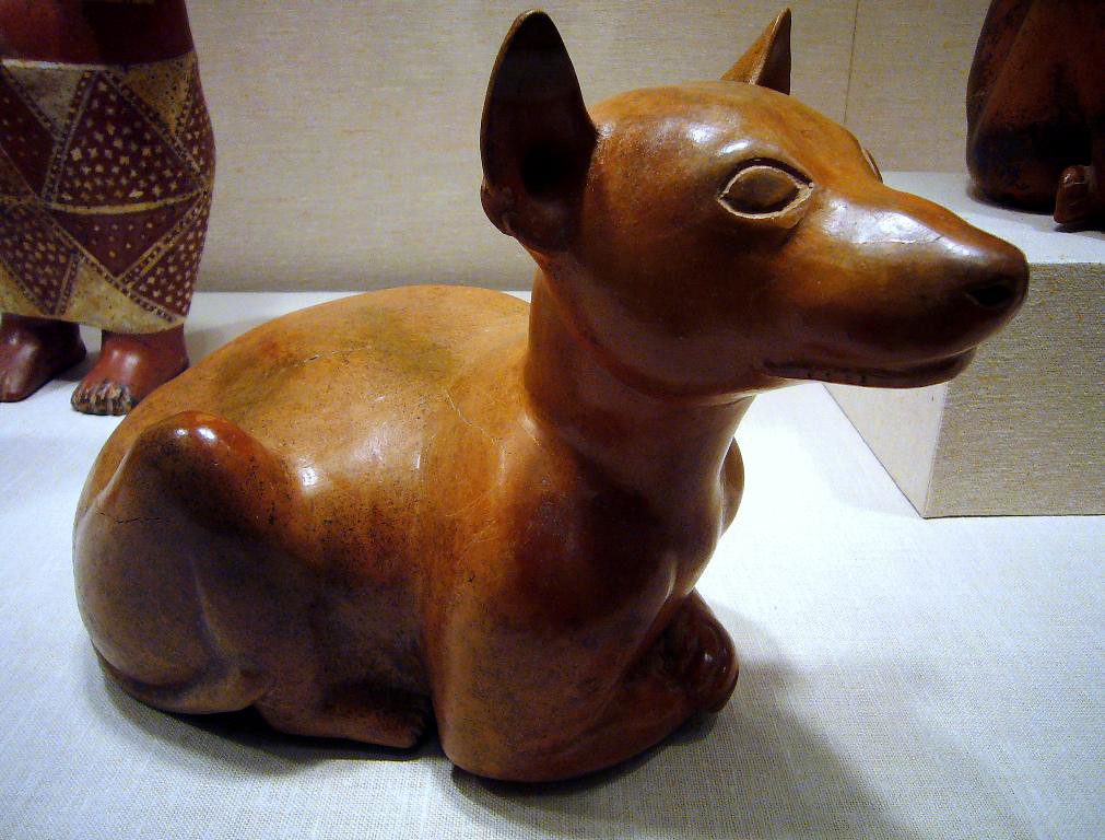 rendering of the ancient Techichi dog now known as the Chihuahua