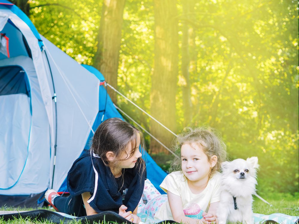 two little girls and a white long haired chihuahua lying on their elbows with tent behind them and fall blurry background