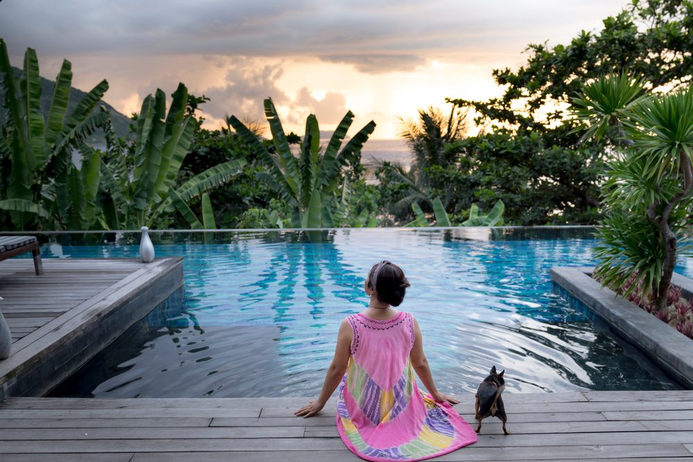 woman with back to camera sitting on edge of a large pool with a chihuahua standing by her side beautiful sunset through the trees in front