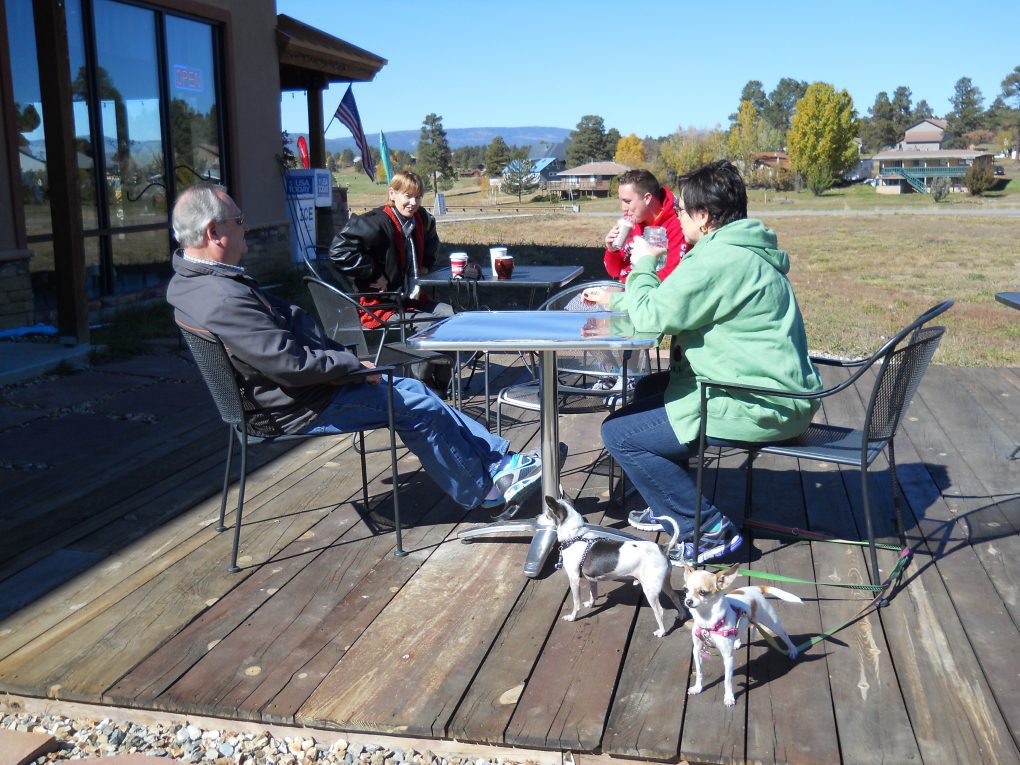 4 people sitting at a table on a deck with two chihuahuas present