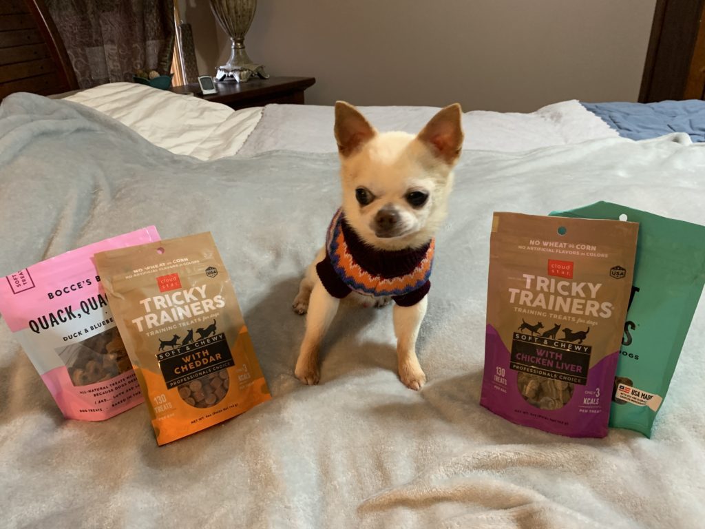 chihuahua with bags of treats, including cloud star's tricky trainers