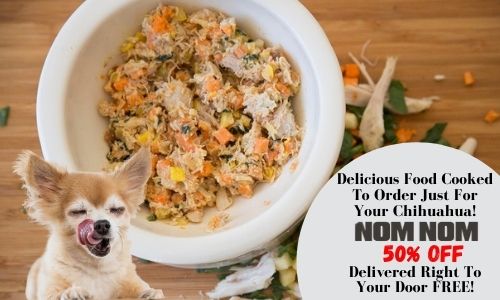 NomNom now 50% off ad with a chihuahua licking his lips