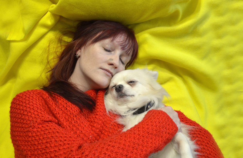 woman and chihuahua lying on their back sleeping on chartreuse background