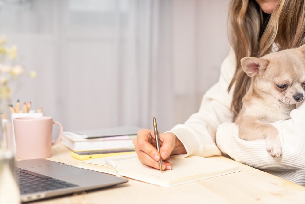 woman sitting at a desk holding chihuahua writing in a book or journal, pink coffee cup and laptop computer on desk