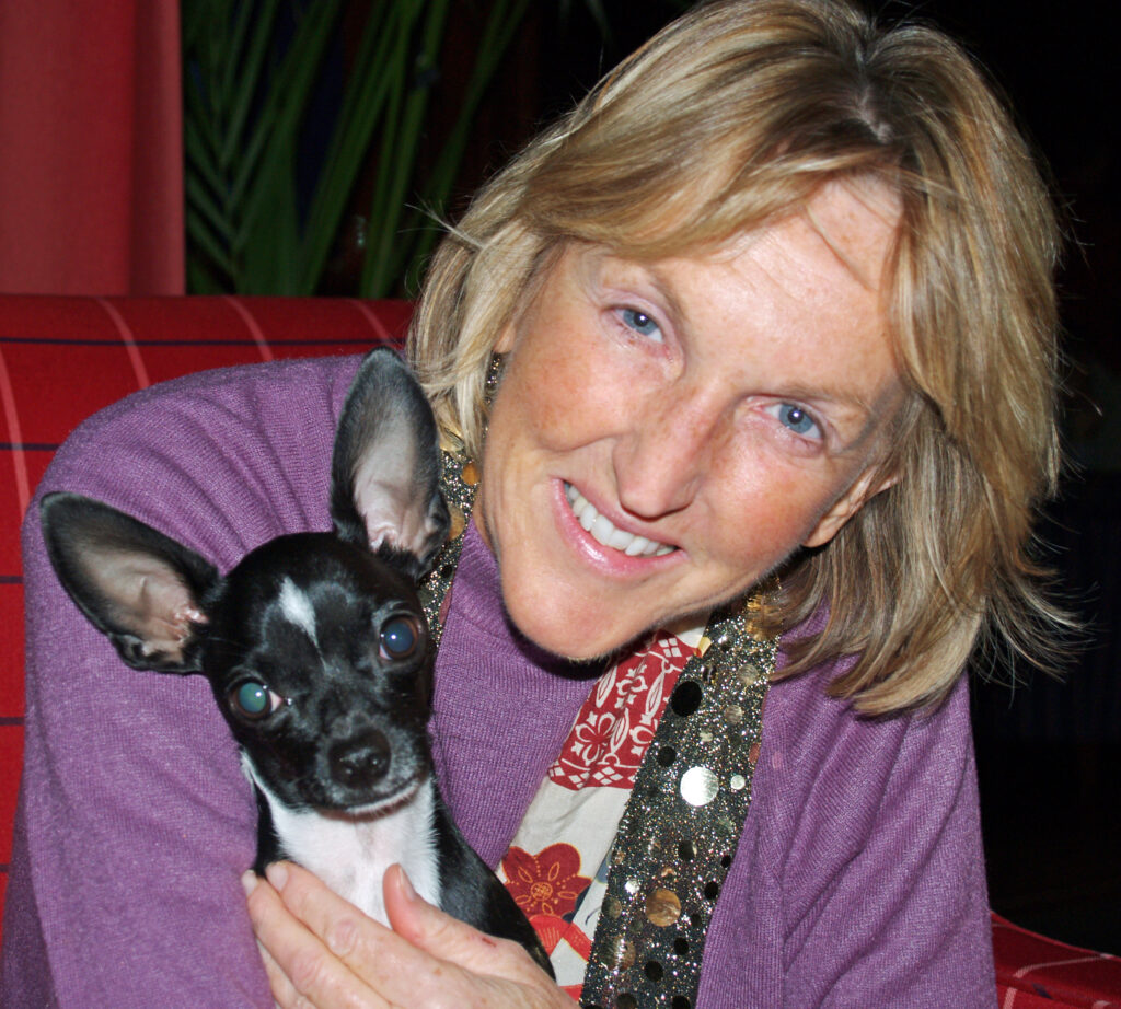 woman purple shirt holding black and white chihuahua