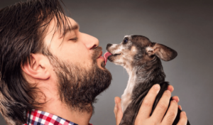 a bearded man standing sideways holding up a chihuahua and chihuahua licking man